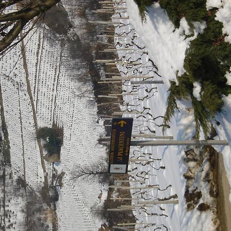 سانتو ستيفانو بيلبو Agriturismo Ai Piacentini المظهر الخارجي الصورة
