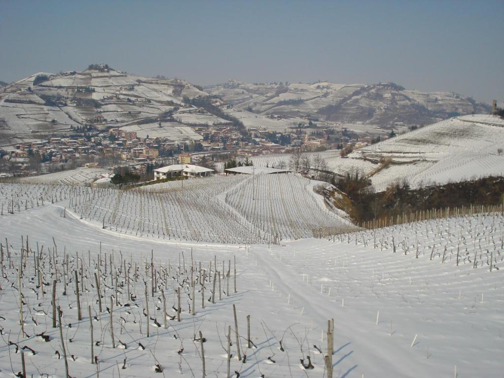 سانتو ستيفانو بيلبو Agriturismo Ai Piacentini المظهر الخارجي الصورة
