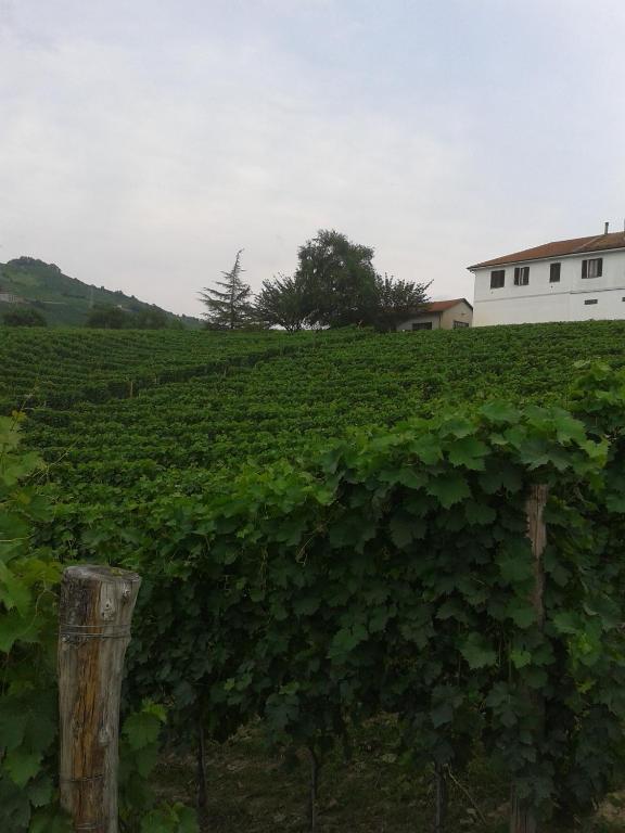 سانتو ستيفانو بيلبو Agriturismo Ai Piacentini المظهر الخارجي الصورة