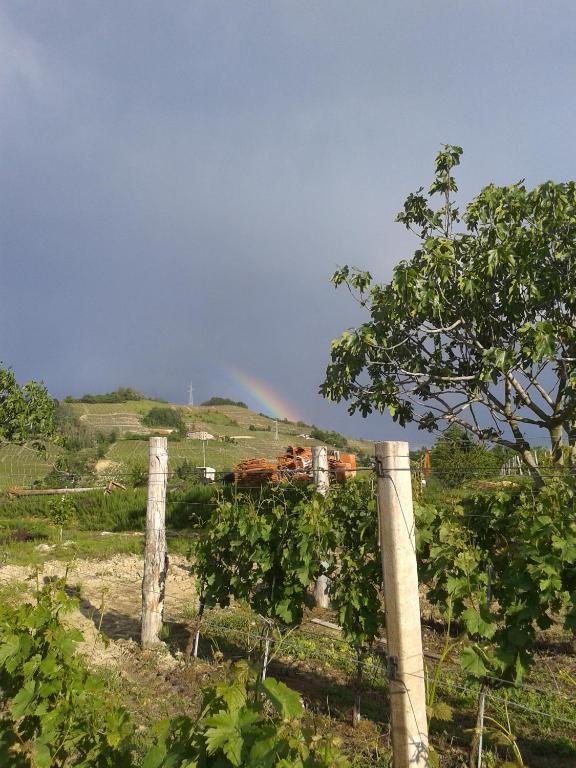 سانتو ستيفانو بيلبو Agriturismo Ai Piacentini المظهر الخارجي الصورة